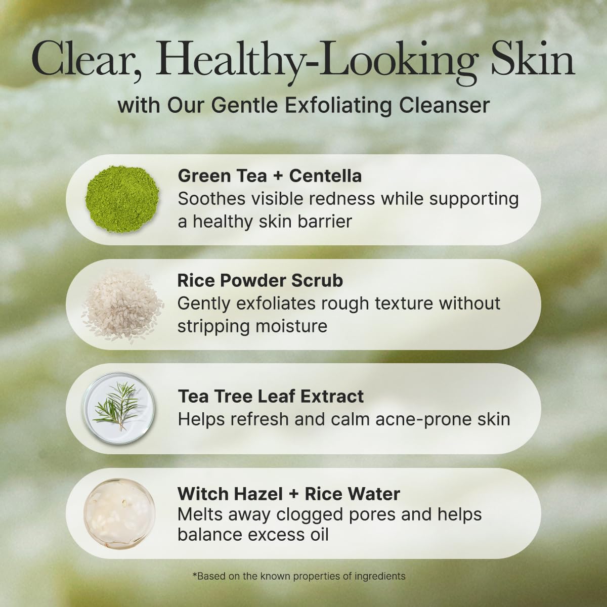Korean Rice Mochi Face Cleanser - Face Wash, Gentle Scrub All in One for Deep Cleansing, Moisturizing, Pore Minimizing, Acne-Prone Skin, Removing Blackhead with Rice Water & Green Tea