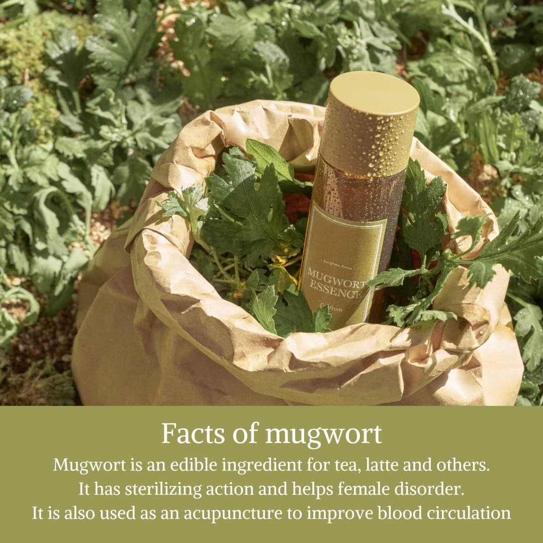 [I'm From] Miniatures of Rice Toner, Mugwort Essence, Fig Boosting Essence (Mugwort), Stocking Stuffers, Gifts for Women