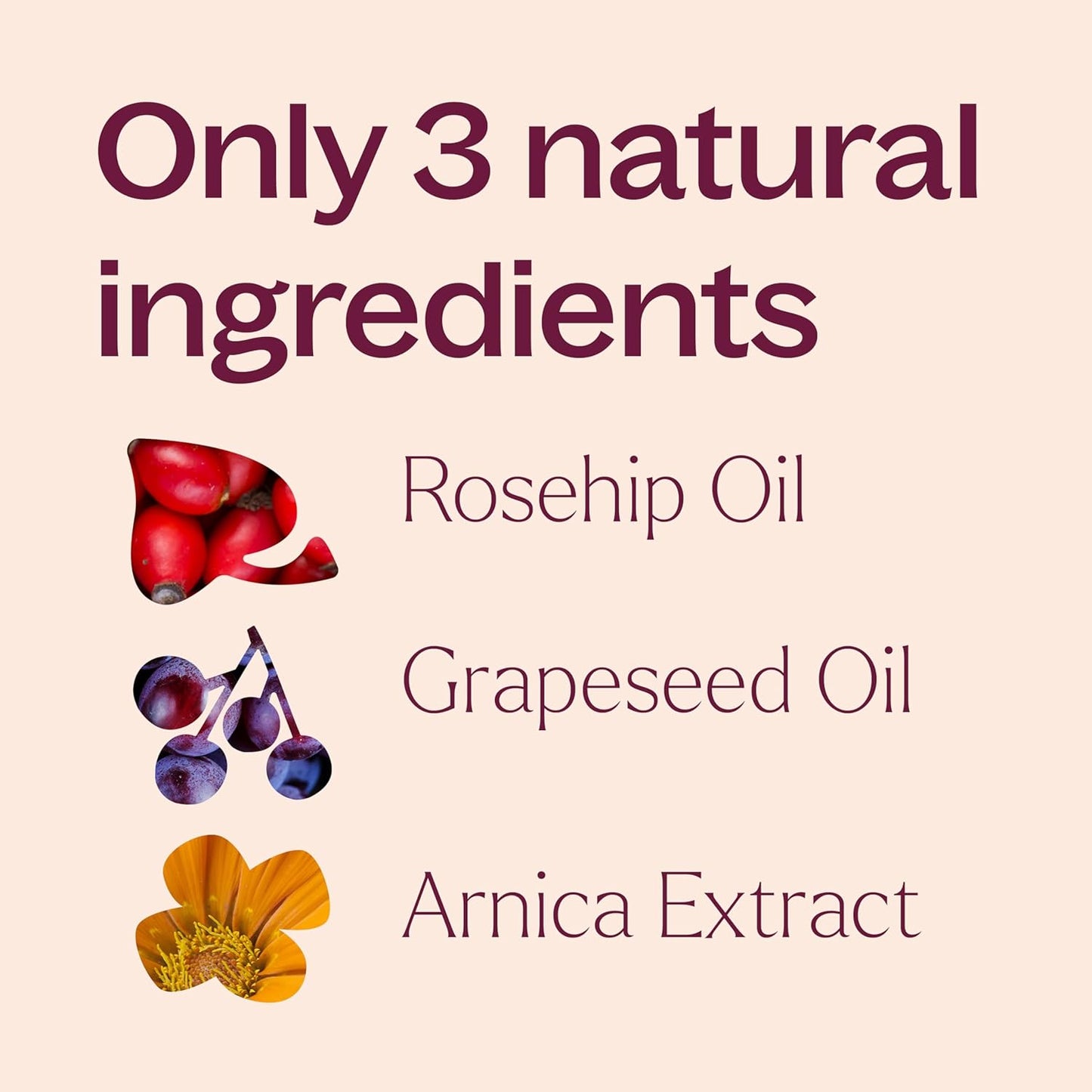 Plant Therapy Restorative Facial Oil with Rosehip & Arnica 1 oz Natural Ingredients, Restore & Protect Skin, Antioxidants and Fatty Acids, Deeply Nourish Skin