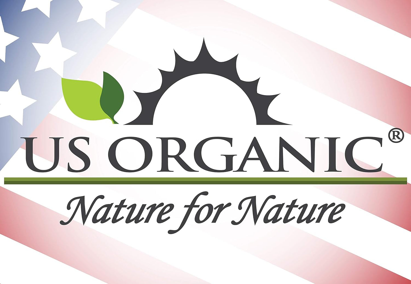 US Organic 100% Pure Cinnamon Leaf Essential Oil - USDA Certified Organic, Steam Distilled - W/Euro Dropper (More Size Variations Available) (10 ml / .33 fl oz)
